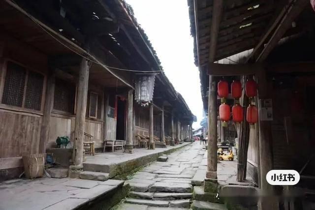 素炒白萝卜丝怎么炒好吃?-有问必答平台,解答你的疑问